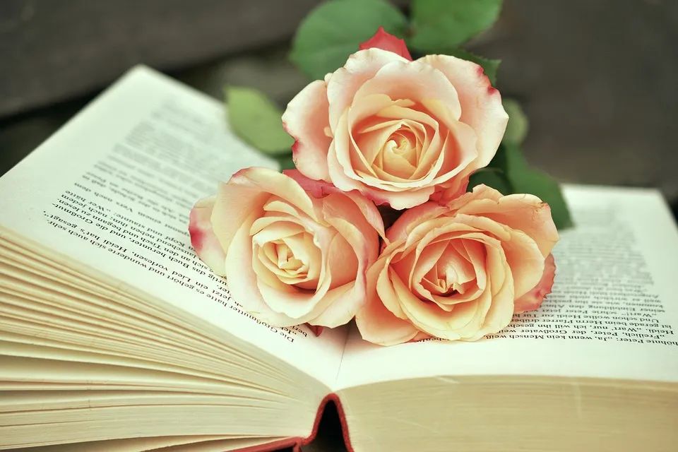 book-1771073_960_720.jpg