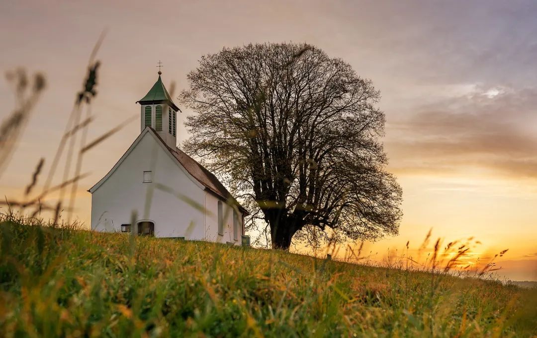 church-4911852_1280.jpg